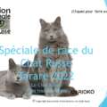 Séminaire 2022
